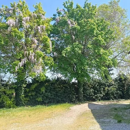 Fattoria Degli Orsi Relax E Parcheggio Coperto Apartman Canevazzi