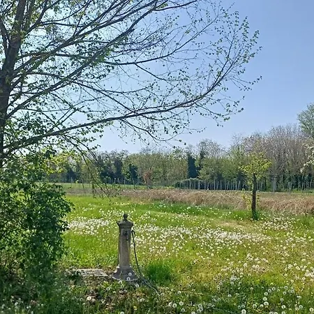 Fattoria Degli Orsi Relax E Parcheggio Coperto